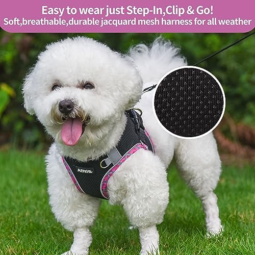 AIITLE Small Dog Harness and Leash Set - Image 6