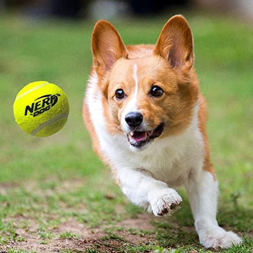 Nerf Dog Tennis Ball Blaster Dog Toy, 12 Inch Translucent Blaster - Image 2