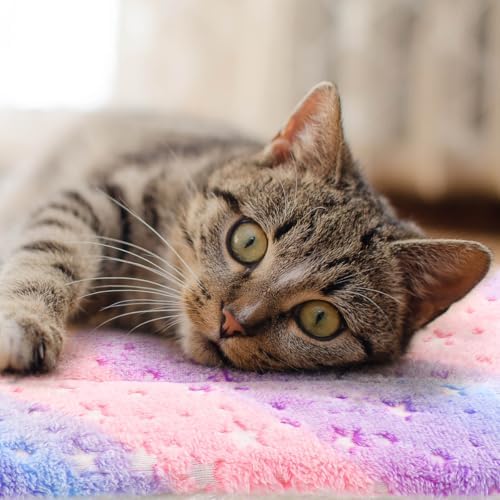 2 Pack Cat Blanket for Indoor Cat, Warm Calming Kitten Beds - Image 6