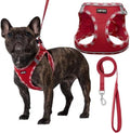 AMTOR Small Dog Harness with Leash Set, No Escape Easy Walk Puppy Harnesses by AMTOR