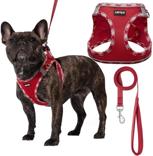 AMTOR Small Dog Harness with Leash Set, No Escape Easy Walk Puppy Harnesses by AMTOR