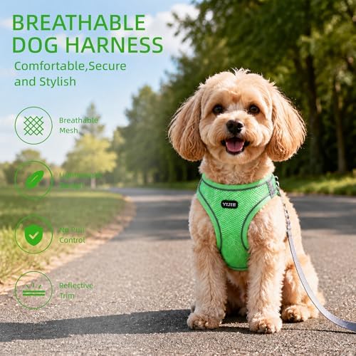 ROYPET Step-in Air Dog Harness, All Weather Mesh Step in Vest Harness - Image 3