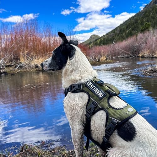 AUROTH Escape Proof Dog Harness - Image 7