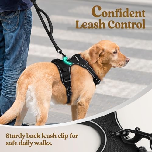 rabbitgoo Dog Harness, No Pull for Small Dogs - Image 6
