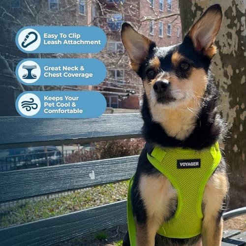 Voyager Step-in Lock Dog Harness - Image 3