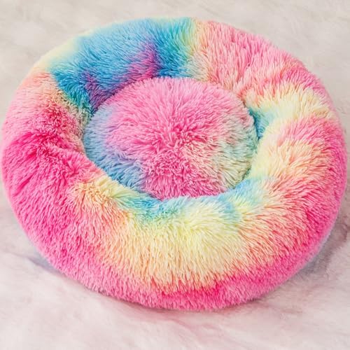 Calming Cat Bed for Indoor Cats, 19.5inch Rainbow Donut & Orthopedic Pet Bed - Image 2
