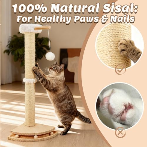 Cat Corner Scratcher with Interactive Ball Toys - Image 4