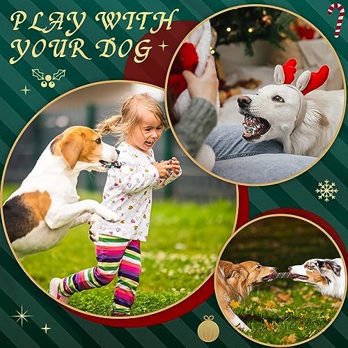 24 Pcs Christmas Dog Rope Toys Puppy Chew Teething,Classic Style - Image 5