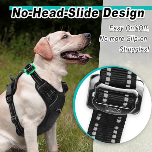 BARKBAY Dog Harness for Large Dog No Pull 2 Clips 3 Buckles Dog Vest - Image 2
