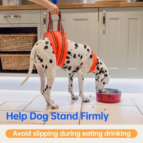 PAWsay Adjustable Dog Sling for Small Dogs Hind Leg Support - Image 5