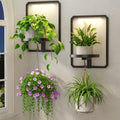 LASZOLA Plant Picture Frame Holder Shelf Wall by LASZOLA