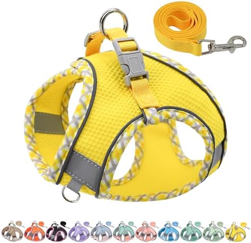AIITLE Step in Dog Harness & Leash Set by AIITLE-FORPETSBETTERLIFE