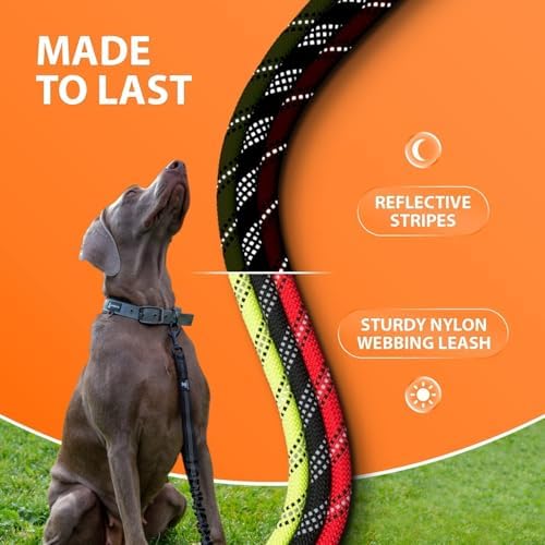 SparklyPets Heavy Duty Bungee Rope Leash - Image 6