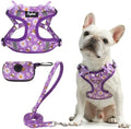 PUPTECK Dog Harness and Leash Set Small Sized, Step in No Pull Adjustable Puppy by PUPTECK