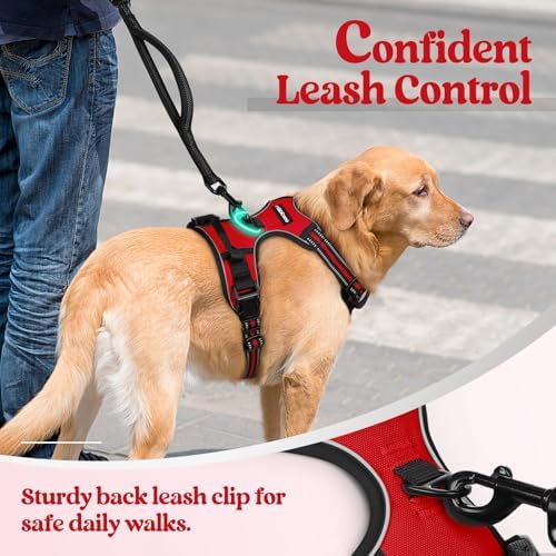 rabbitgoo Dog Harness, No Pull for Small Dogs - Image 6