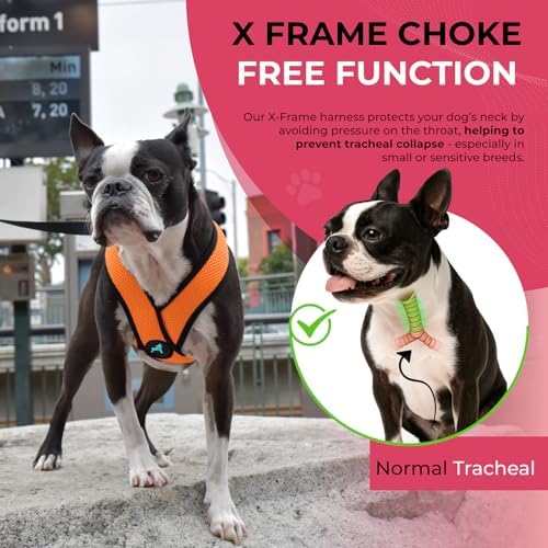 Gooby Comfort X Head-in Dog Harness, Choke-Free - Image 5