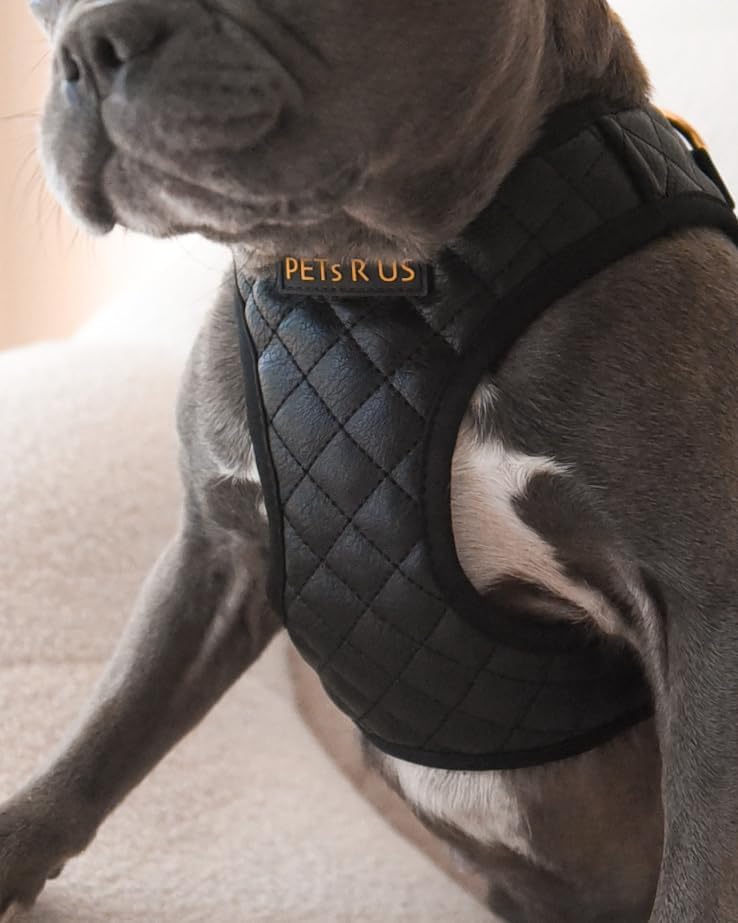 Step in Dog Harness, Lightweight Breathable Mesh Soft Padded Pet Vest, Vegan - Image 5