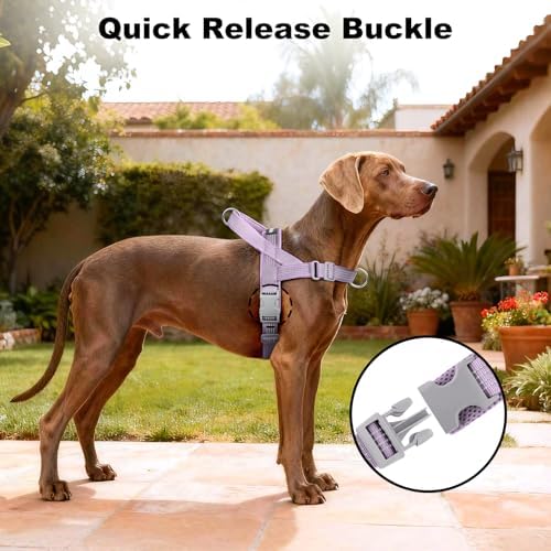 No Pull Dog Harness with Handle, Adjustable Soft Mesh Padded Vest - Image 6