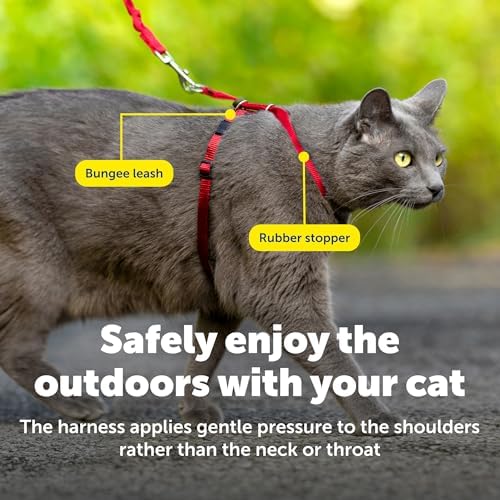 PetSafe Come With Me Kitty Harness and Bungee Leash, Harness - Image 6
