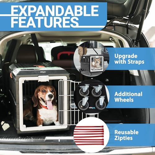 Collapsible Pet Carrier for Small Cats & Dogs, 21.5"L x 12"W x 14"H - Image 4