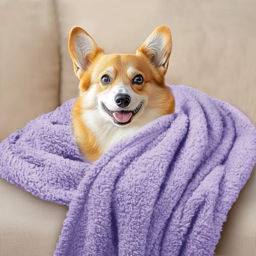 Luciphia 3 Pack Soft Sherpa Fleece Blankets - Image 3
