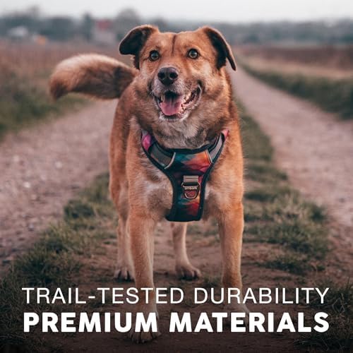 Embark No Pull Dog Harness, Reflective Adjustable Training Vest, No Choke - Image 5