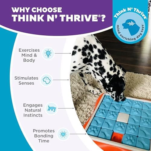 Outward Hound Nina Ottosson Challenge Slider Dog Toy Treat Puzzle - Image 6