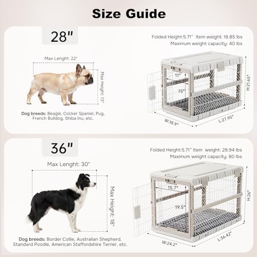 ZOMISIA Collapsible Dog Crate - Image 3