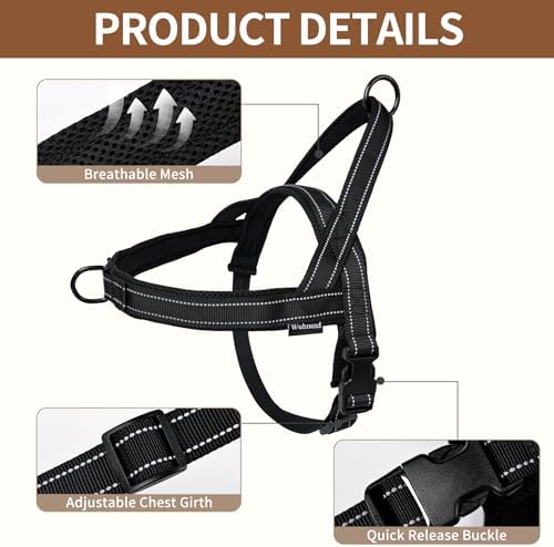 No Pull Dog Harness & 5FT Leash Set - Image 2