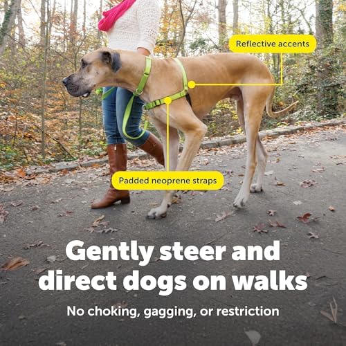 PetSafe Easy Walk Deluxe Dog Harness, No Pull Dog Harness – Perfect - Image 6