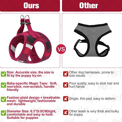 BEAUTYZOO Small Dog Harness and Leash Set, Step in No Choke No Pull Soft Mesh - Image 5