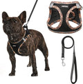 AMTOR Small Dog Harness with Leash Set, No Escape Easy Walk Puppy Harnesses by AMTOR