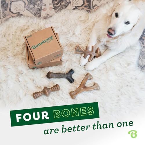 Benebone Medium 4-Pack Dog Toys - Image 5