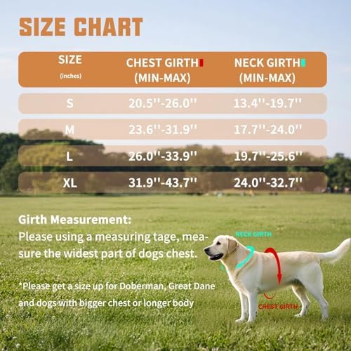 AUROTH Dog Harness and Leash Set - Image 6