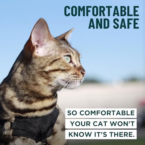 OutdoorBengal Houdini™ Escape Proof Kitten Harness and Leash - Image 4