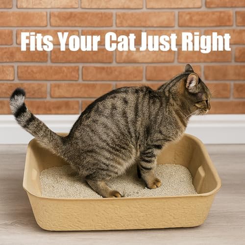 JINVOGREEN 8 Pack Disposable Litter Boxes - Image 3