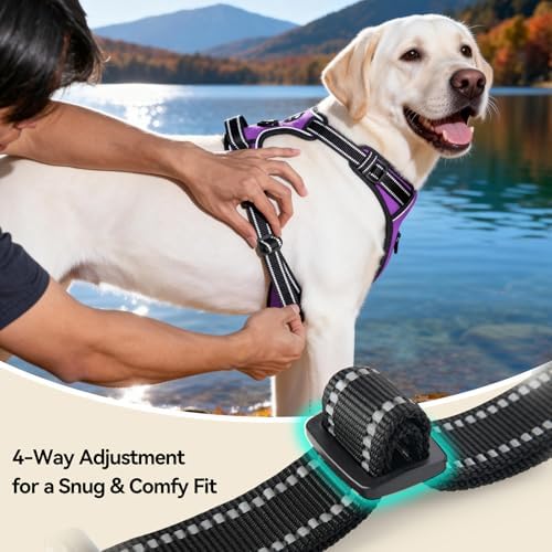 PHOEPET No Pull Dog Harness Medium Reflective Front Clip Puppy Vest - Image 6
