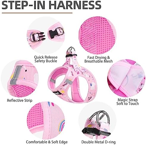 PUPTECK Dog Harness, Collar and Leash Set No Pull - Image 2