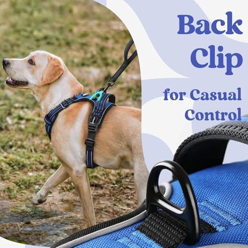 rabbitgoo Dog Harness for Large, Updated Easy On & Off - Image 5