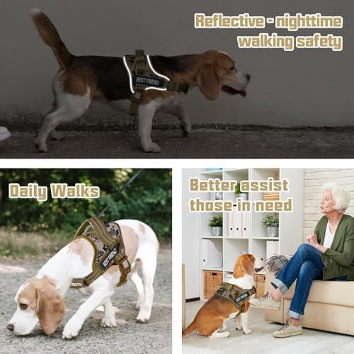 AUROTH Dog Harness and Leash Set - Image 2