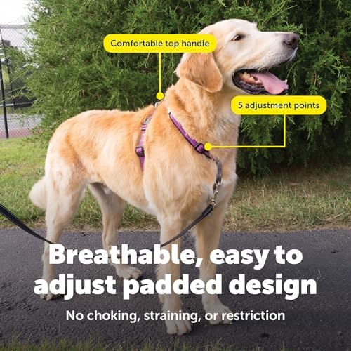 PetSafe Easy Walk 3 in 1 No Pull Dog Harness, Plum Purple - Image 4