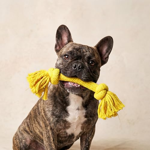 Playology Dog Toys | Dri-Tech Rope Toy Tug of War Rope - Image 3