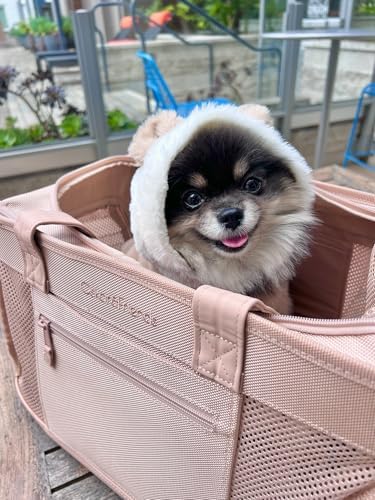 OSKAR&FRIENDS Airline-Approved Pet Carrier - Image 4