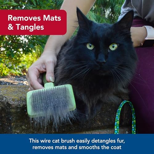 Coastal Pet Safari Cat Self Cleaning Slicker Brush, Cat Grooming Supplies - Image 4