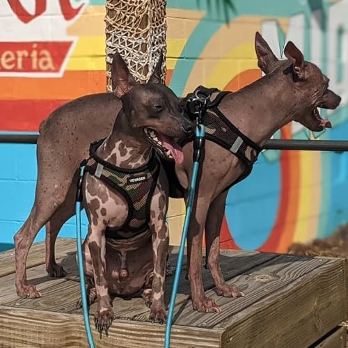 Voyager Step-in Air Dog Vest Harness - Image 6