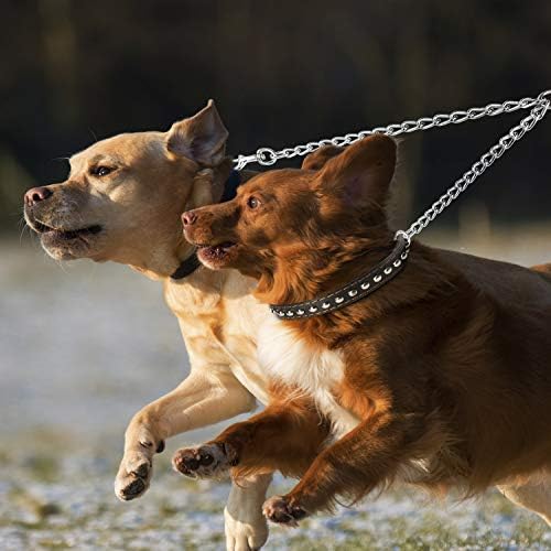 PETTOM Heavy Duty 2 Way Dog Lead Metal Chain Double Pet Clip Leash Coupler 360° - Image 6