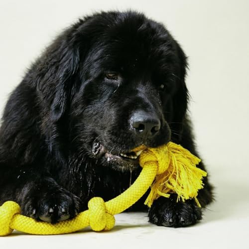 Playology Tug Rope Dog Toys for Large Breed Dogs - Image 3