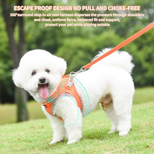 AIITLE Small Dog Harness and Leash Set - Image 6