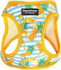Downtown Pet Supply Step-in Dog Harness – No Pull, Adjustable Padded Mesh by DowntownPetSupply