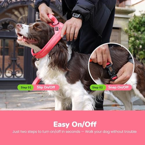Didog No Pull Dog Harness for Medium Dogs, Breathable Mesh Padded - Image 4